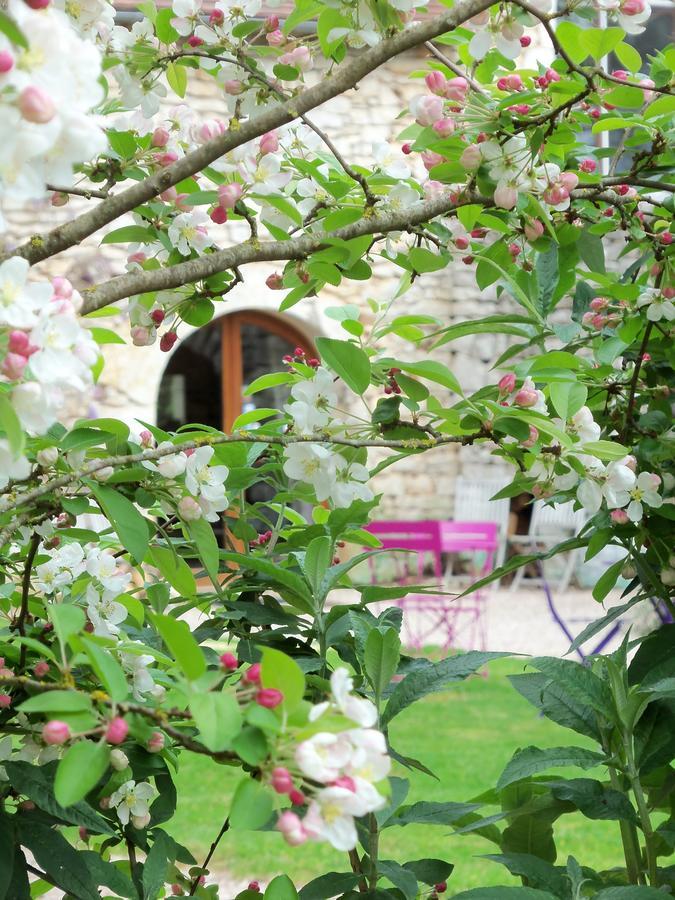 Chambres Et Jardin De Pierres Espedaillac Экстерьер фото